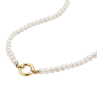 Freshwater Pearl Necklace with Charm Holder -  -