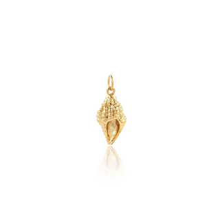 Open Shell Charm -  -
