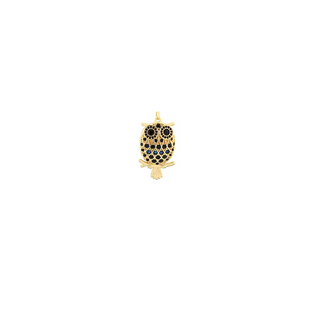 Wise One Owl Charm