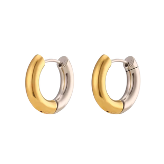Two-Tone Stainless Steel Hoop Earrings