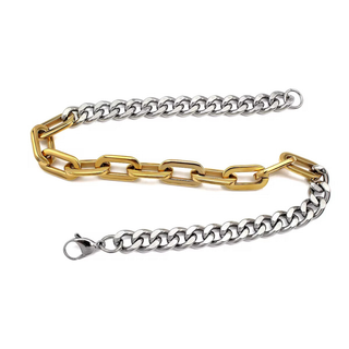 Hollis Two-Tone Link Necklace