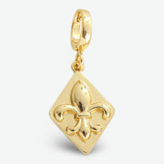 Clip Charms 14K Gold PVD Non Tarnish Stainless Steel