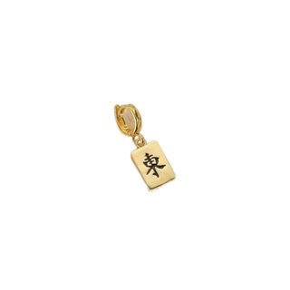 Clip Charms 14K Gold PVD Non Tarnish Stainless Steel