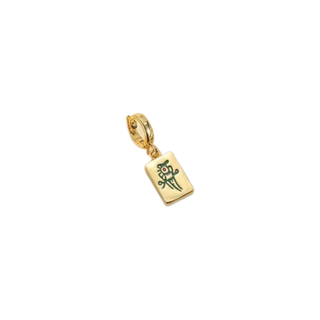 Clip Charms 14K Gold PVD Non Tarnish Stainless Steel