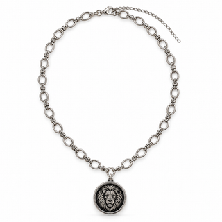 A silver-toned metal link chain necklace with a circular pendant featuring an engraved lion head, displayed on a clean white background.