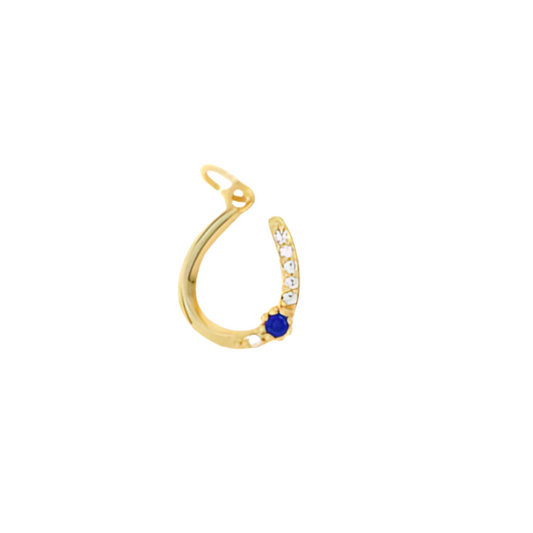 Lucky Charm Horseshoe ~ Blue Gem