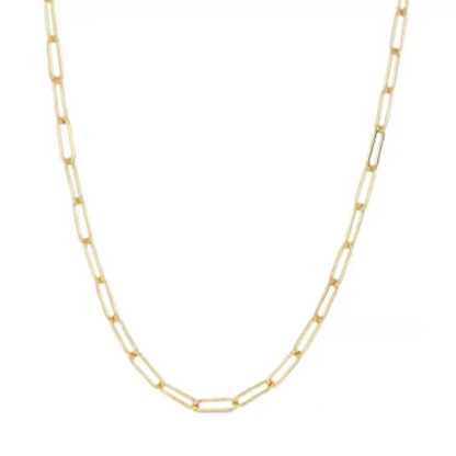 Carla Chain 18k Gold Plated Paper Clip Chain ~ Stainless Steel & Water Resistant