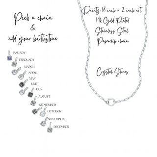 Kendall Birthstone Necklace, a silver-toned paperclip chain with a round charm loop, shown with crystal birthstone options